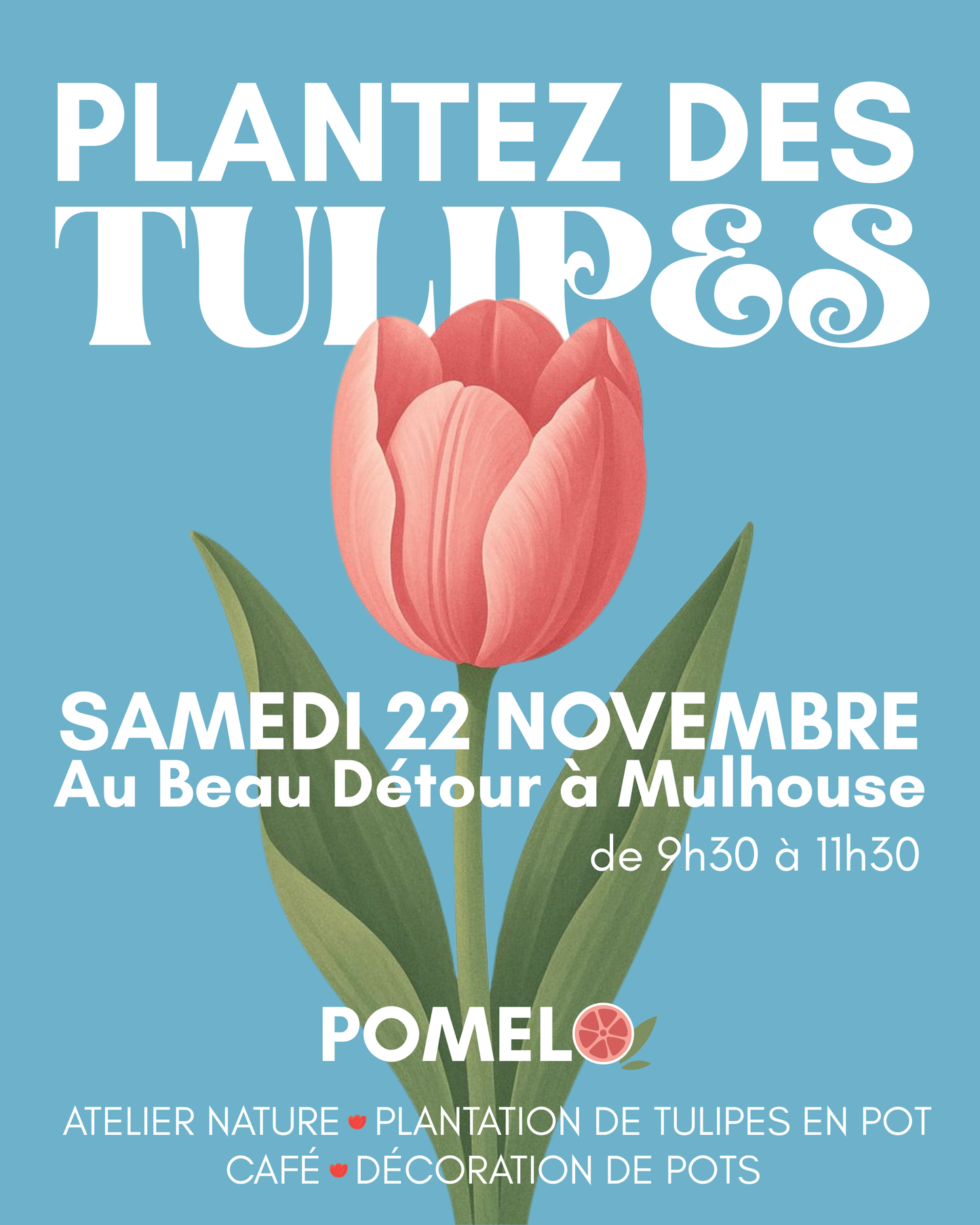 Atelier plantez des tulipes