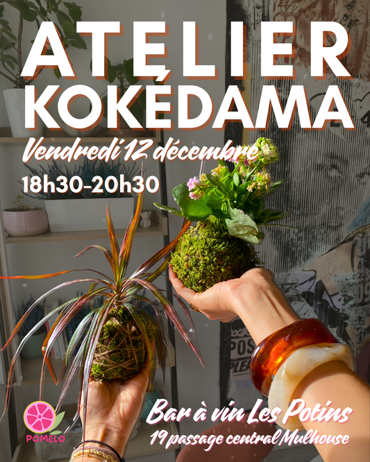 Atelier Kokedama