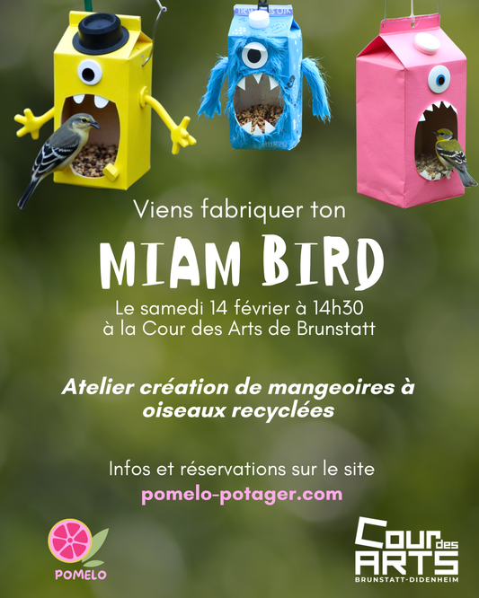 Atelier MIAM BIRD